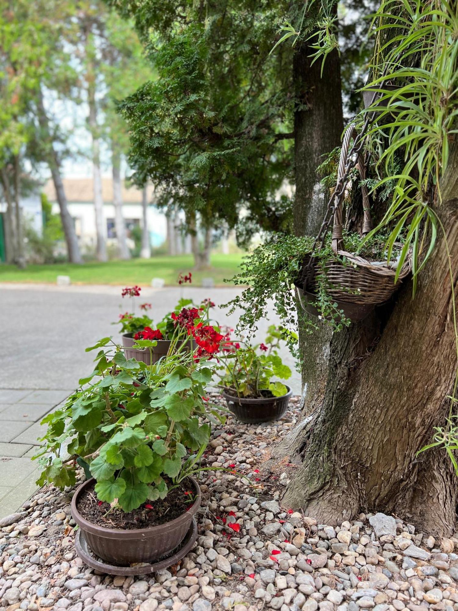Bezdan Guesthouse Luaran gambar