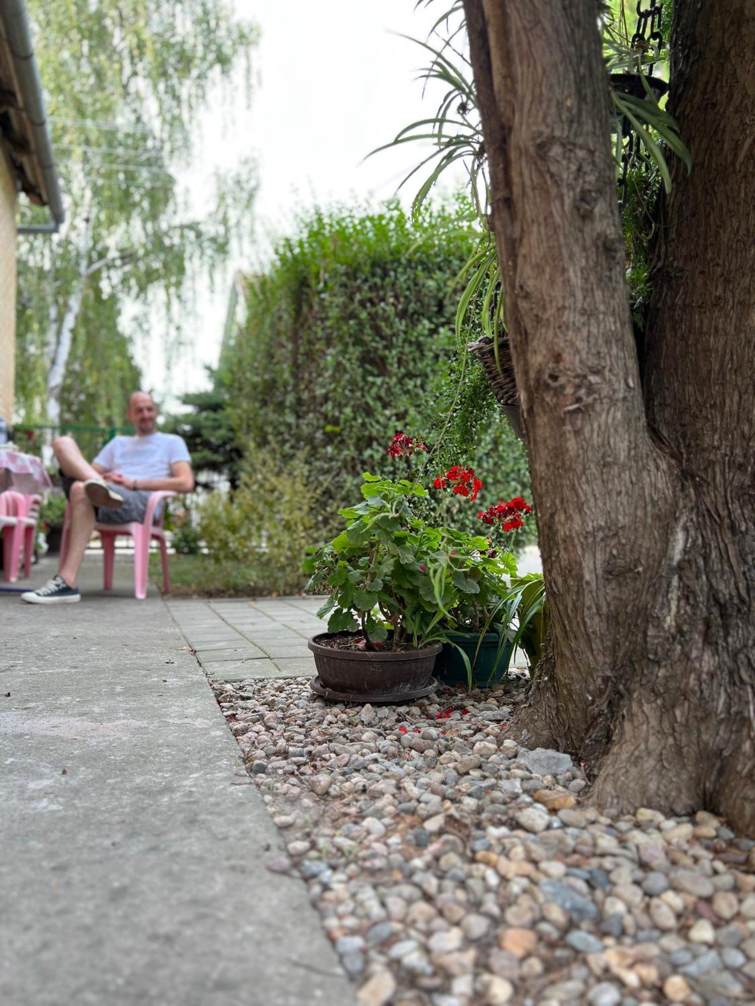 Bezdan Guesthouse Luaran gambar